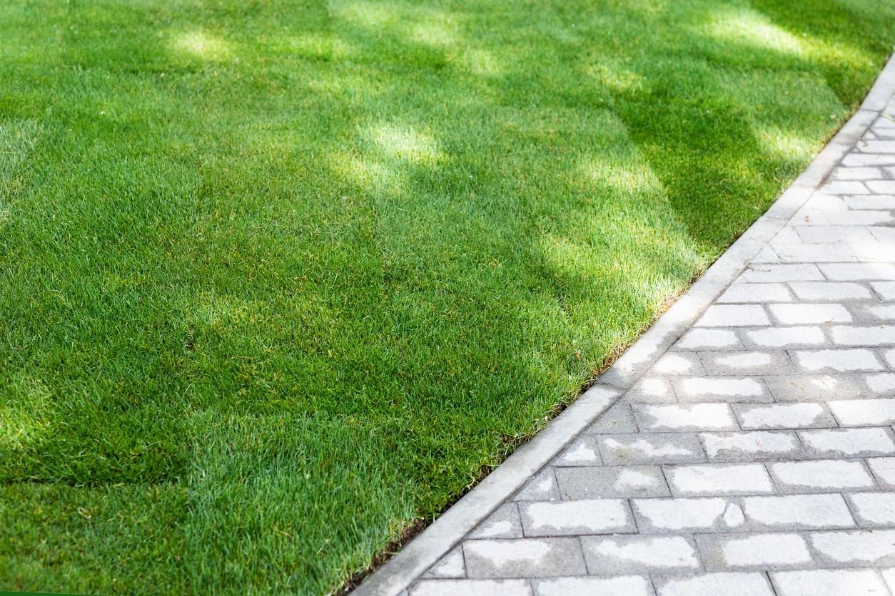 Sod Installation